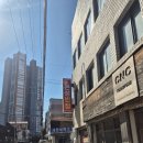 은성반점 이미지