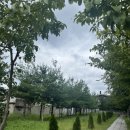 전통나래관 앞 이미지