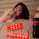 힐링사랑침대 이미지