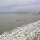 도초 고란리 매향비 이미지