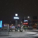 스텔라(STELLA) 이미지