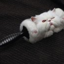 명작광고 이미지