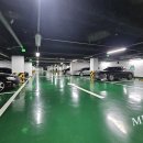 강남-160 이미지