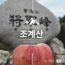 태용민박 | 순천 조계산 등산코스 후기 처음이라면 이건 알고가자