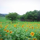 베스트 | 고창 가볼만한곳 베스트10 후기