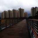 다온공인행정사 이미지