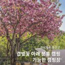 언덕캠핑장 이미지