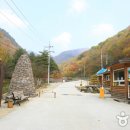 진부(오대산)관광농원 이미지