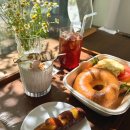 더카페성지스타위드점 | 베이글 성지이자 뷰 맛집인 대전 대형카페 투드커피 솔직후기