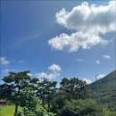 산꽃들꽃펜션민박 이미지