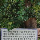 전북 진안 마령 마이산 광대봉(609m) 이미지