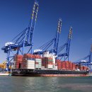 배들가축 이미지