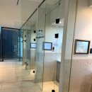 개들랜드 이미지