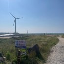 코난비치 이미지