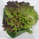 효성동 마왕족발(포장.배달.내돈내산후기)