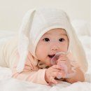 큐피드선물의집 | 퍼기 큐피드 손목 치발기 세트 후기! 아기 스스로 잡는 국민 치발기 추천