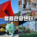 연제구복합문화센터 3층 전시실 | 영월관광센터 솔직후기 | 아이와 함께 가기엔 아쉬웠던 이유