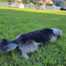 썸레스트 이미지