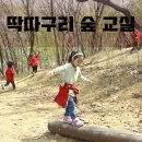 노벨유치원 이미지