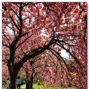 월곡역사공원 이미지