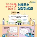 1141 쿠키뉴스