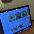 디트루키친 [아라동] 리조또 맛집, <b>디</b><b>트루</b><b>키친</b>