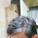 이 계절의 시 읽기 / 신원철 시인 이미지