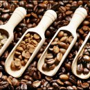 바리스타 실기 (심화) 이미지