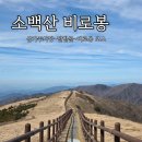 삼가-14 | 소백산 비로봉 등산 최단코스 초보 후기 (삼가주차장-셀레네족욕카페-달밭골-비로봉 코스)