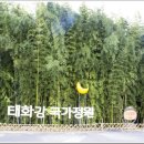 울산 &amp; 울진 여행 이미지