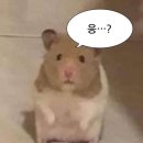 오카에리 - 마포구 연희로1길 55 | 오카에리