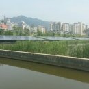 증산 태양광발전소 이미지