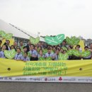 평화6태양광발전소 이미지