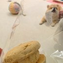 너에게 마카롱 운정점 이미지