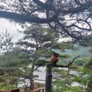 0529(금) 합정동건물 임대차 계약 이미지