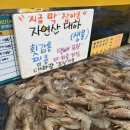 청춘수산 이미지