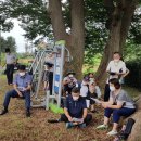 자연송림 이미지