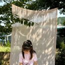 모모아이 이미지