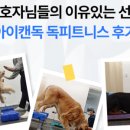 아이캔독 이미지