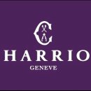 아이트랜드 안경 · 렌즈아이 이미지