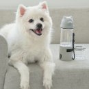 (주)펫투데이 이미지