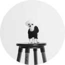 댕키오