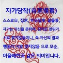 달맞이 꽃 이미지