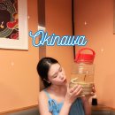 일본 오키나와 여행 국제거리 바다포도와 향토요리 즐길 수 있는 데이고