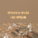 들멍놀멍 이미지