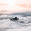 양산장례식장 - 1266 | 양산장례식장