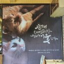 인투캣츠 네이버블로그