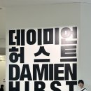 데이미언 허스트 국립현대미술관 서울 개인전 관람 후기
