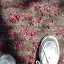 이상국치과의원 이미지