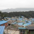 새구봉천 Daum카페